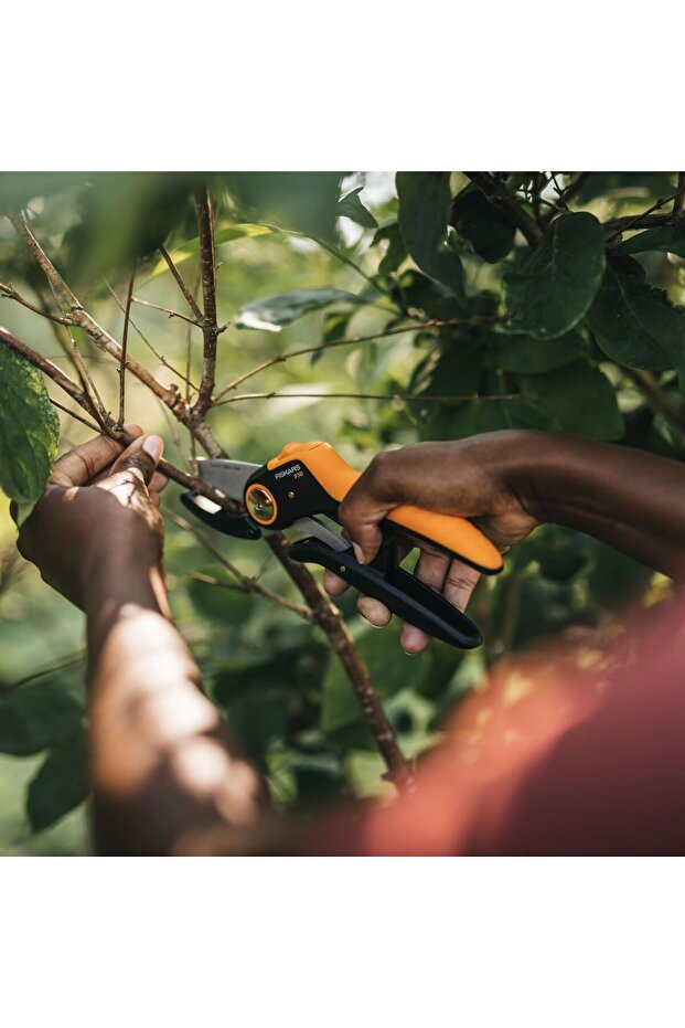 Step by Step Scissors Plus (P741) - 3