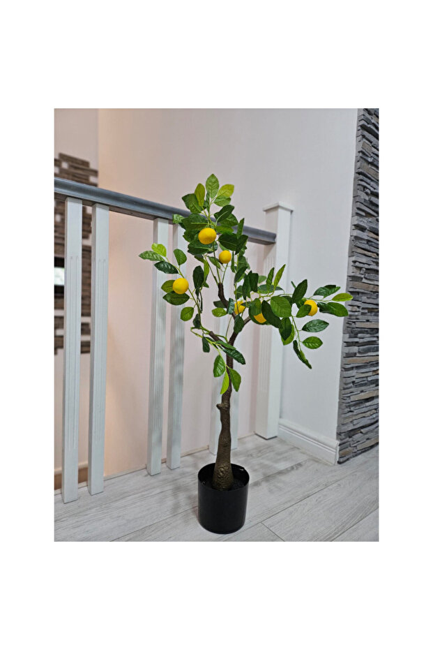 Lemon 100cm - 3