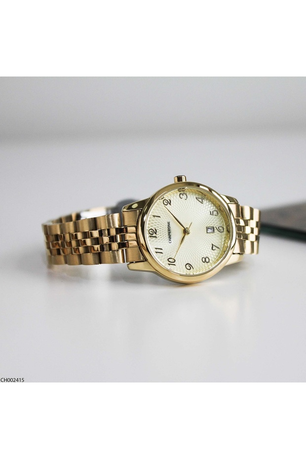 Ch002415 Steel Band Women's Wristwatch