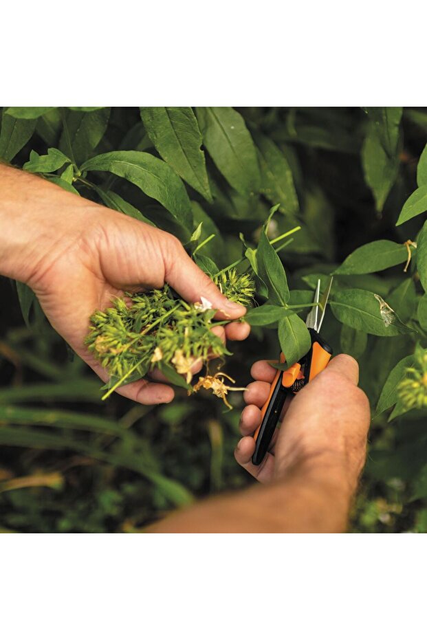 Solid MicroTip SP13 flower scissors, 140 mm, 40 g - 7