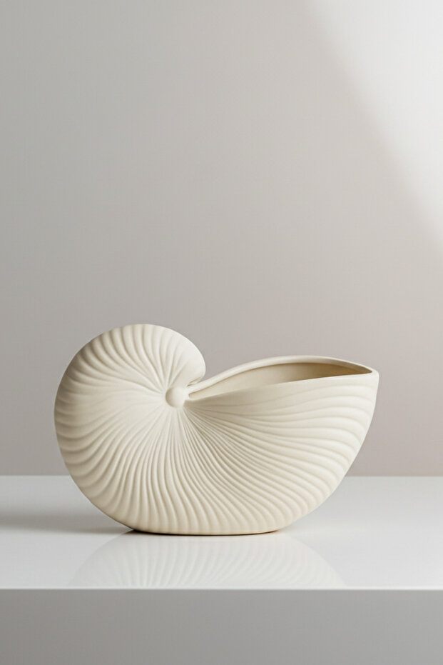 Conch shell / Deniz Kabuğu Dekoratif Tabak - 1