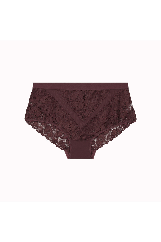 Plus Size Lace Tulle Detailed Elastic High Waist Women's Panties