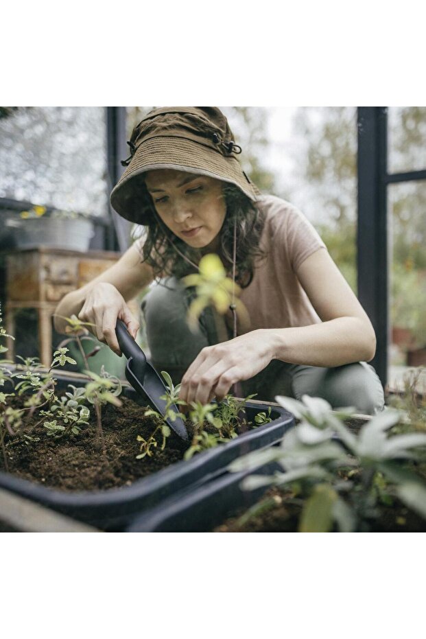 Plantator ingust, Solid - 3