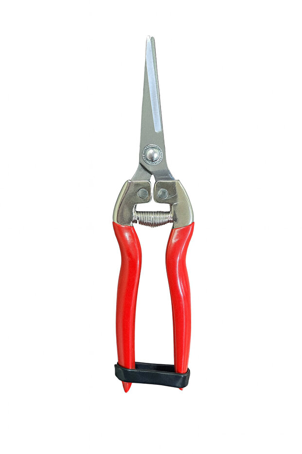 Fruit pruning shears - 1