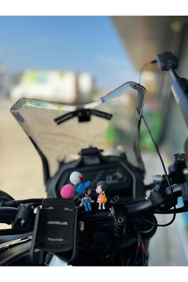 Araç İçi Sevimli Çift - 3