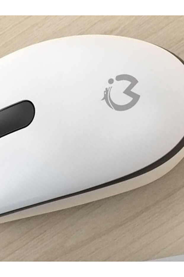 ZR224 M2 PİLLİ WİRELESS MOUSE - 4