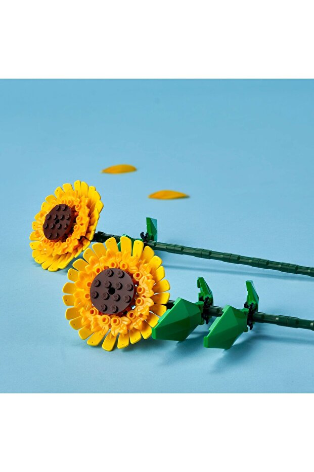 40524 Iconic Sunflower - 5