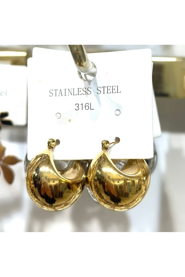 316 L Steel Viral Bag Earrings