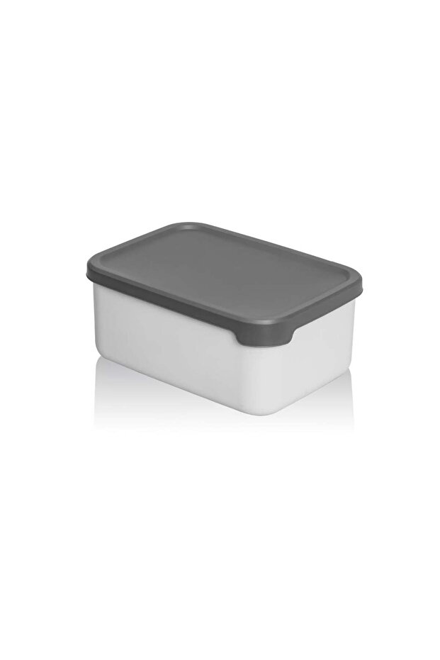 Storage Container Rectangular Set of 4 with Soft Lid Gray Food Freezer Food Container - 4