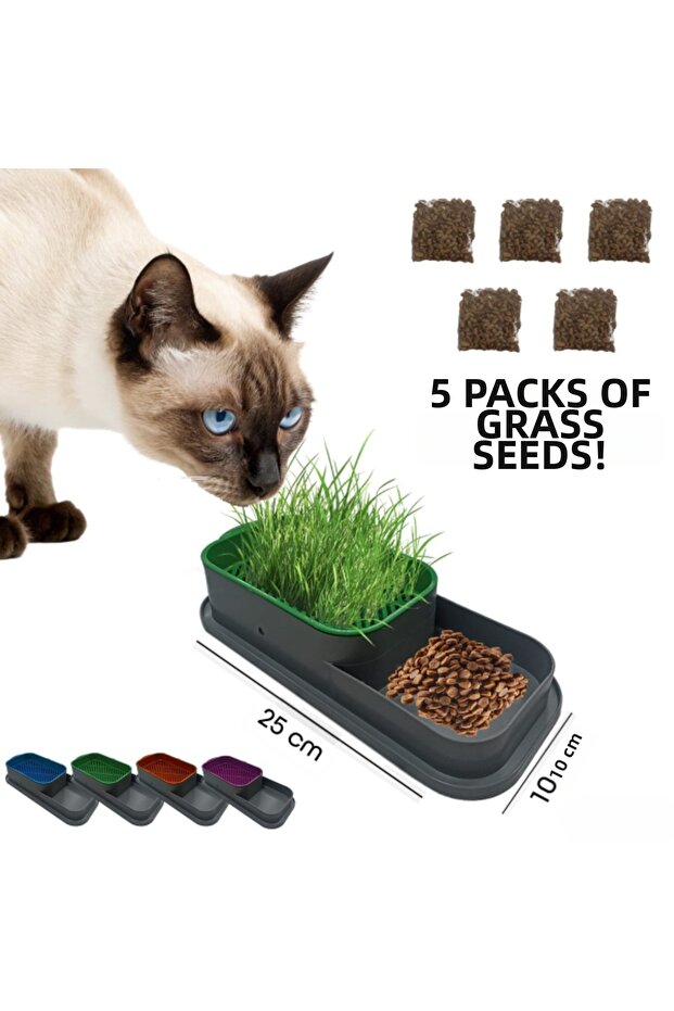 Hydroponic Cat Grass Container - 1