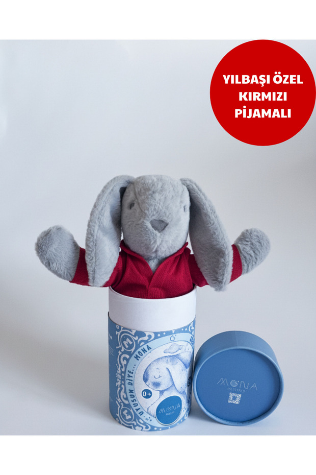 Mona Pışpışlayan Uyku Arkadaşı (Kalın Karton Kutu) - 2