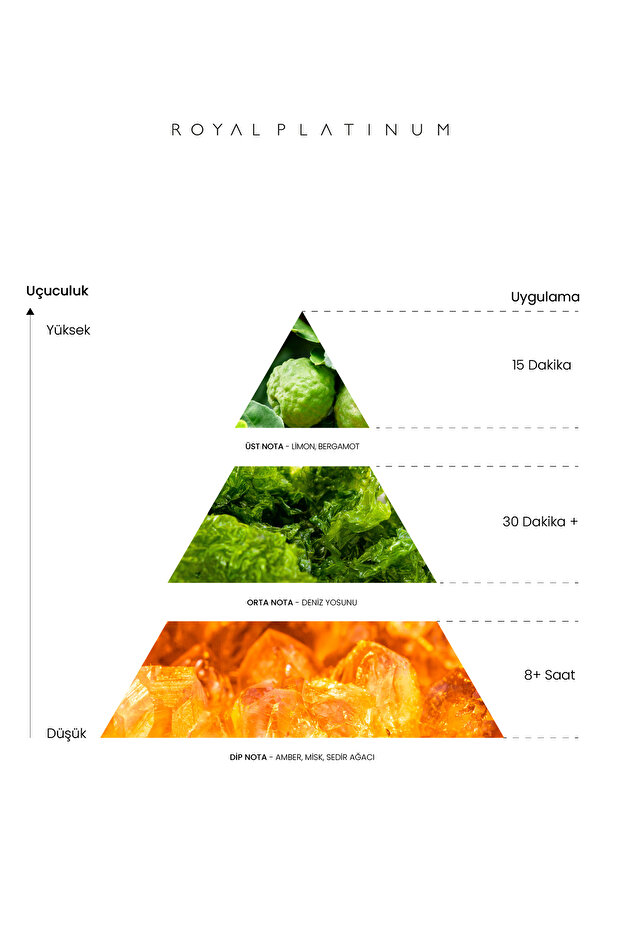 BOSPHOURS 100 ML PARFÜM - 3