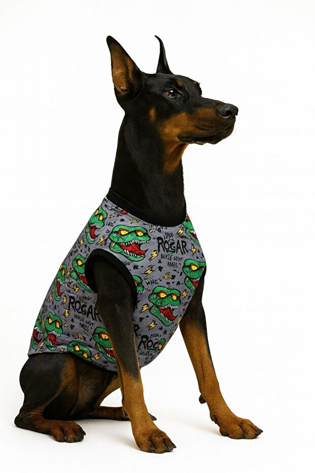 Cat-Dog Dinosaur Patterned Outfit - Large Breed