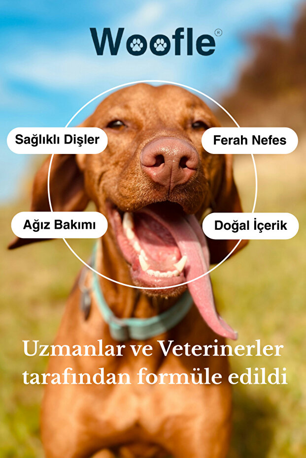 OralGuard Köpek Ağız ve Diş Bakım Tozu 60g - Plak, Tartar ve Koku Karşıtı Gelişmiş Formül - 6