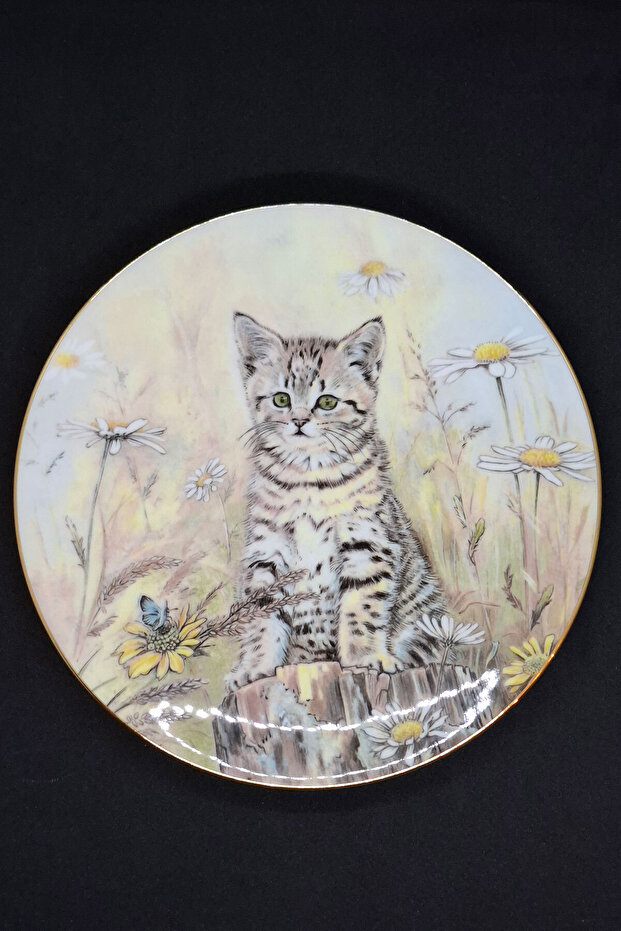 1985 Royal Worcester Hamilton Collection'Tiger's Fancy' Kittens Classics Wall Plate 21 cm