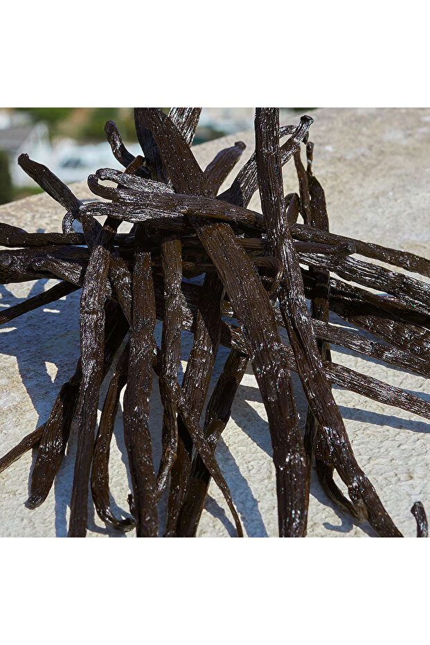 Devotion - Eau de Parfum 100 ml - 4