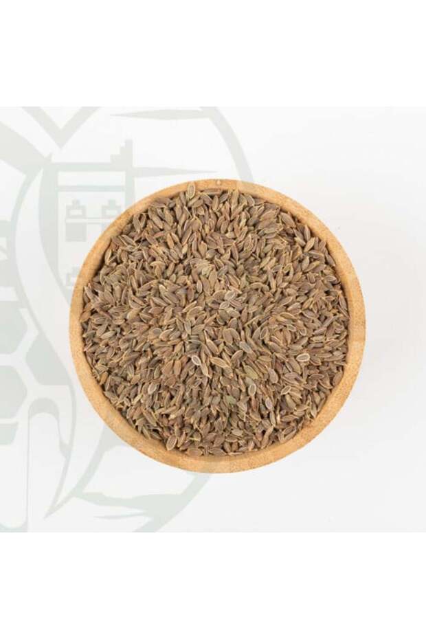 بذور الشبث