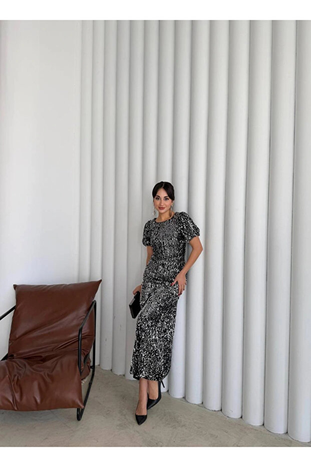 Payetli Maxi Elbise Gümüş - 2