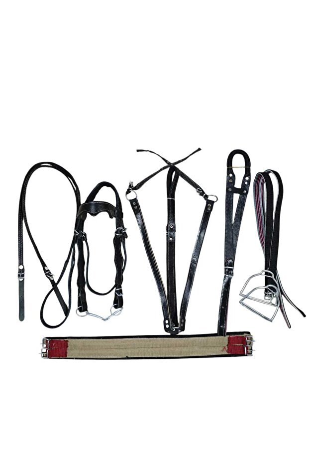 At eyeri İngiliz - 3