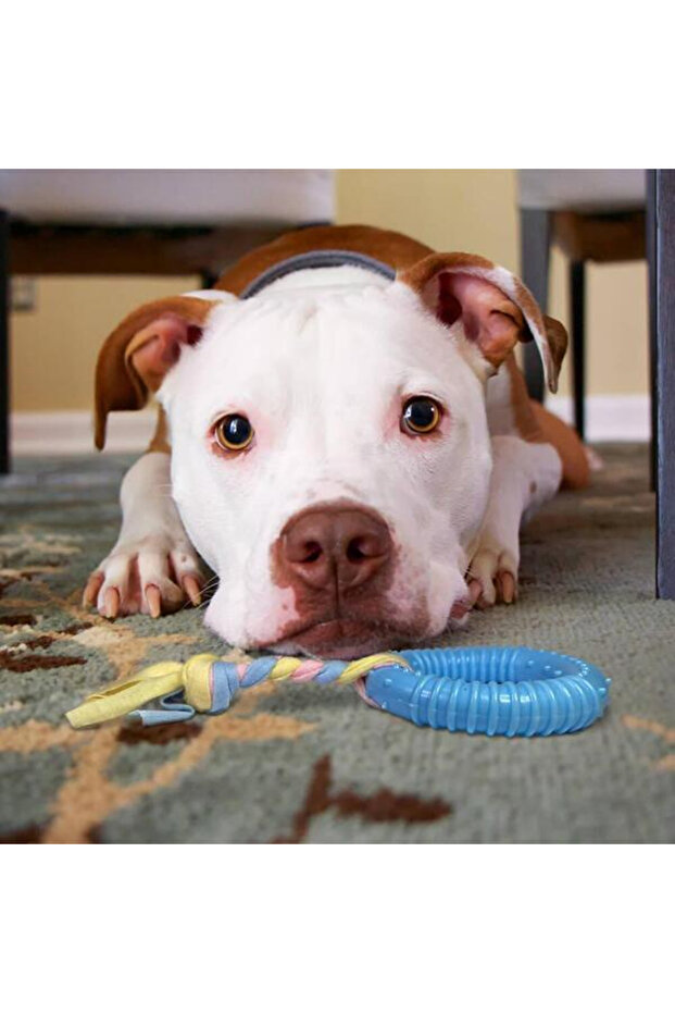 لعبة متينة لعض الأسنان ولعبة للمضغ للكلاب - 4