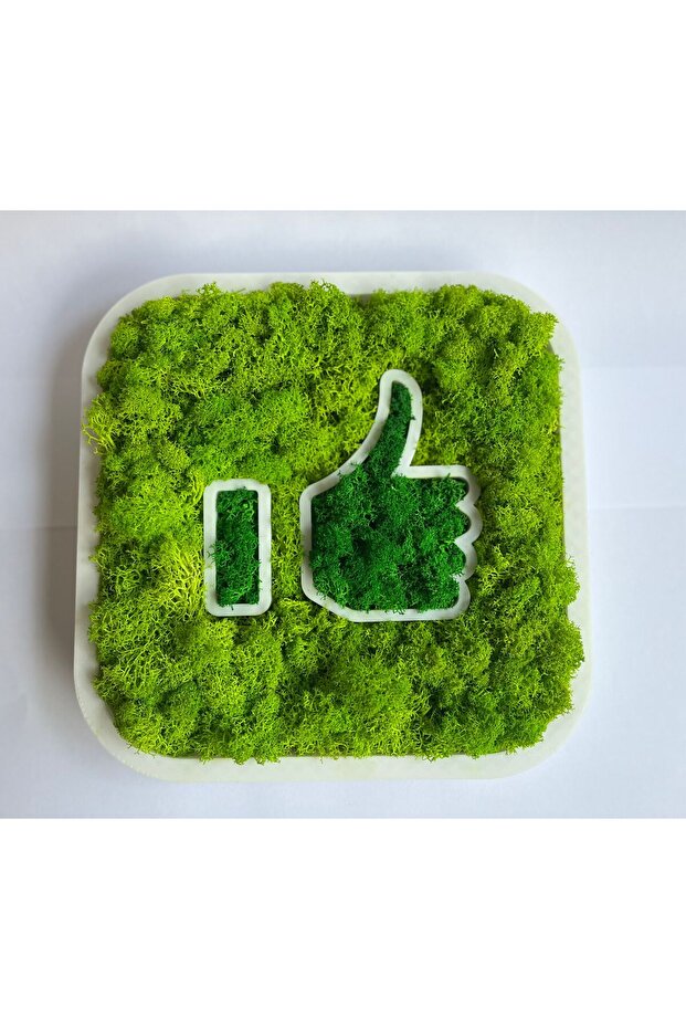 LIKE stabilized lichen decoration - 3