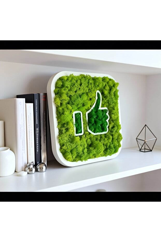 LIKE stabilized lichen decoration - 2