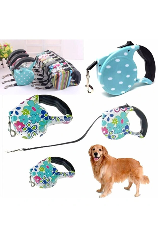 Patterned dog collar - pup - 1
