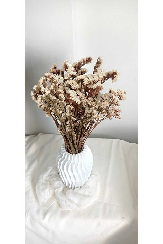 Statis Şoklanmış Kuru Bitki - 4