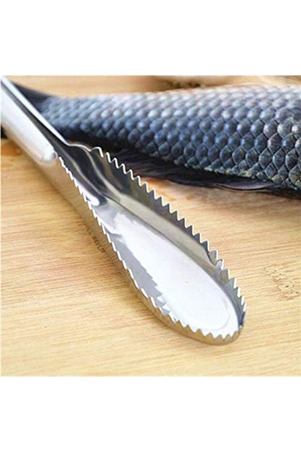 Practical Fish Scale Scraper Horse - 2