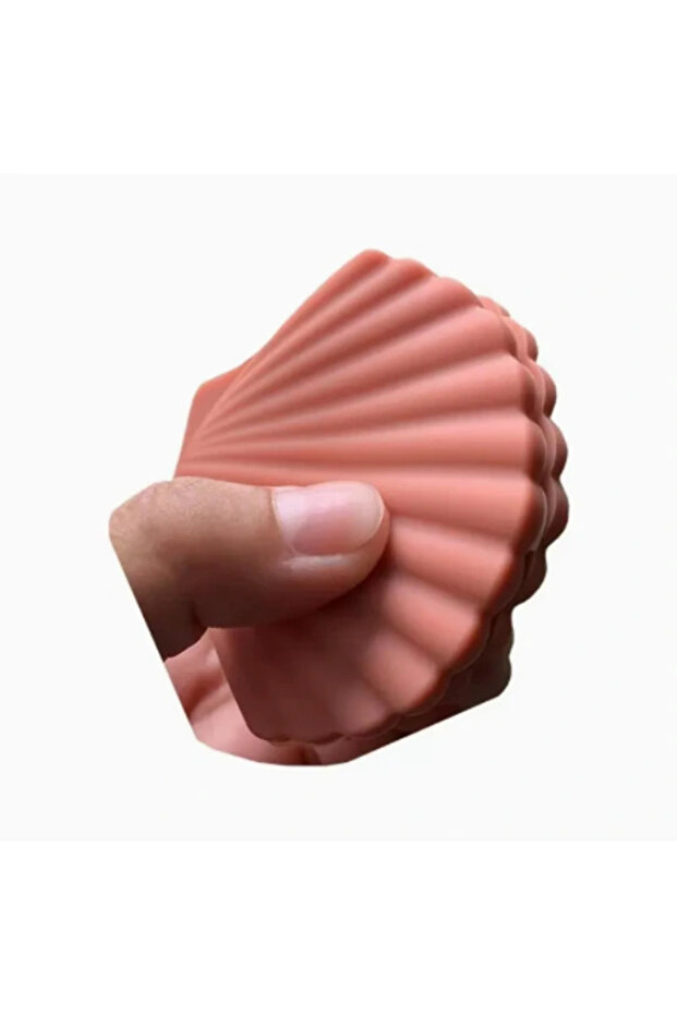 حامل على شكل صدف - 3