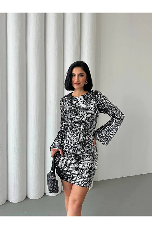 Payetli Midi Elbise Gümüş - 3