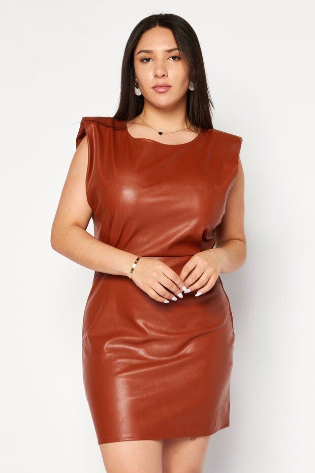 Women Plain Mini Dress, Dark Brown