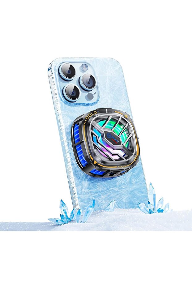 إكسسوارات الكلاب - 1