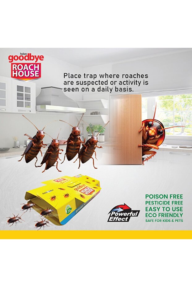 Roach House Cockroach Trap - 1