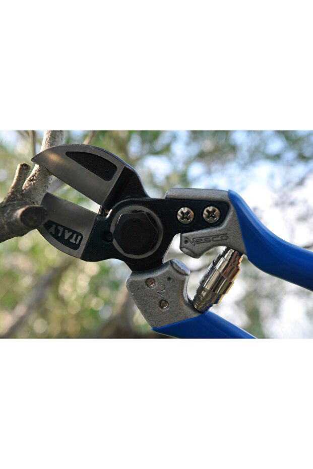 Double-edged fruit tree shears A2 - 1