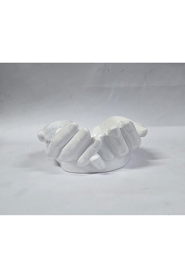 Mainile Domnului - 2