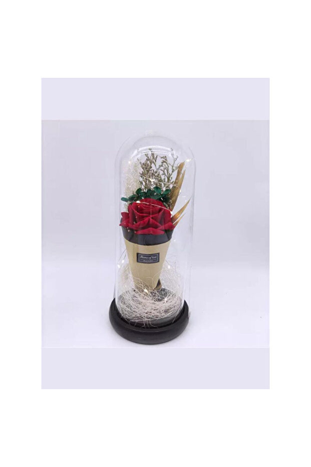 LED Light Dried Flower Bouquet in Glass Dome – Romantic Gift for Valentine's Day