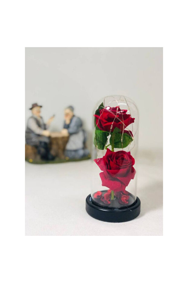 2 Red Roses in Glass Dome with LED Lights – Romantic Rose Gift with Warm Light