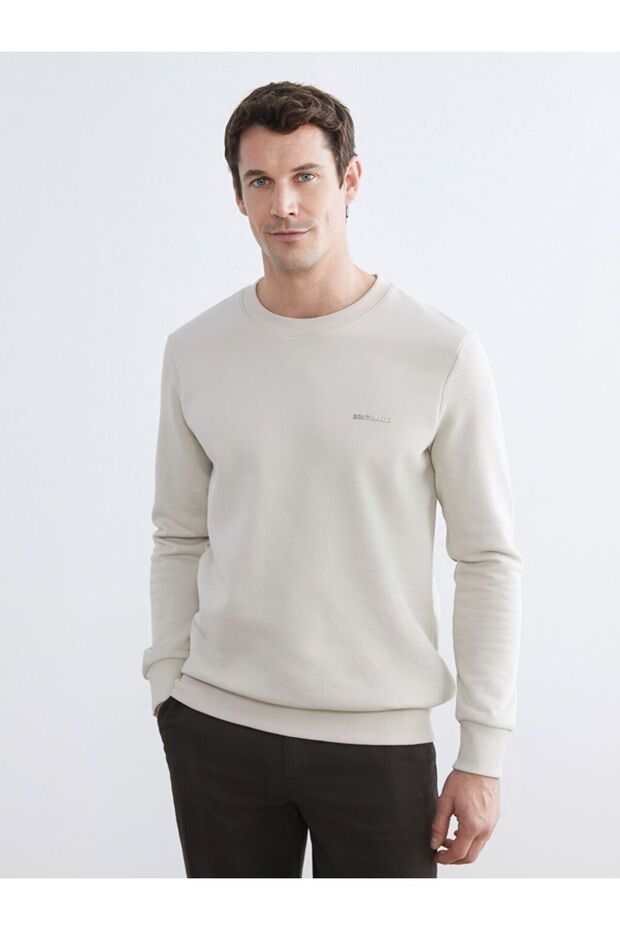 Crew Neck Printed Men's Thick Sweatshirt