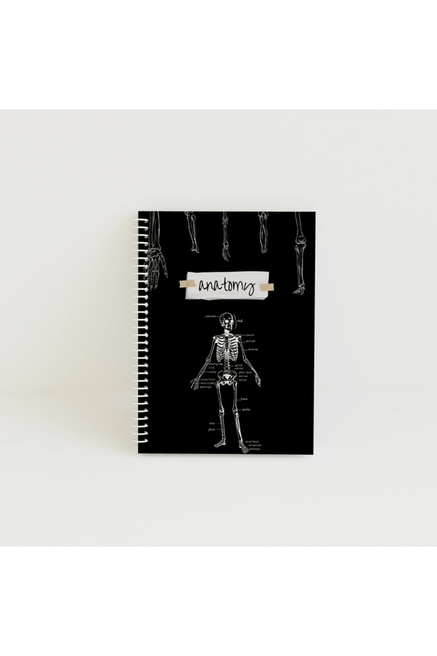 Notebook A4 BASIC MedFun Anatomy 80 sheets - 1