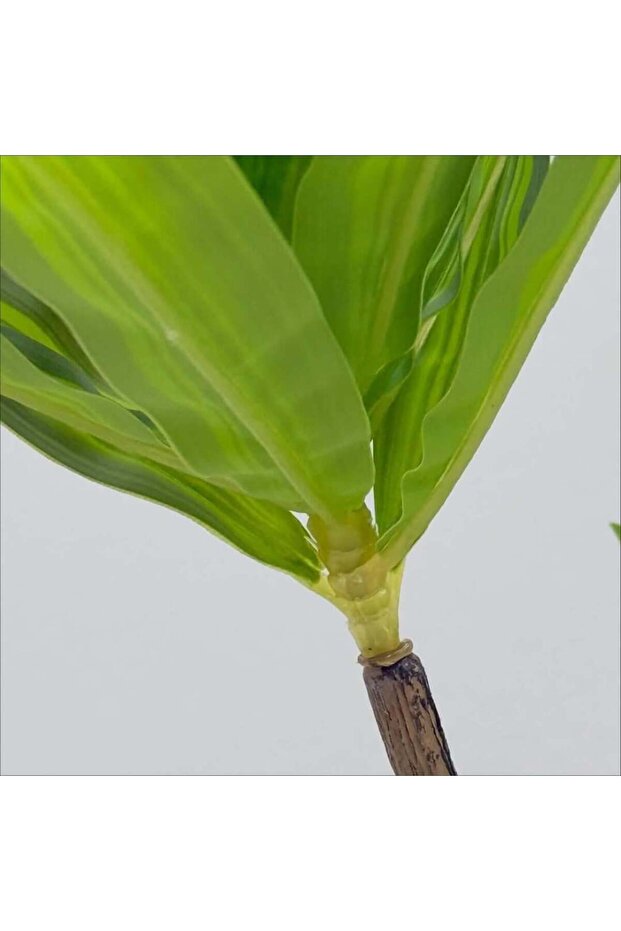 شجر صناعي LEAFY LEAFY Artificial Tree - 2