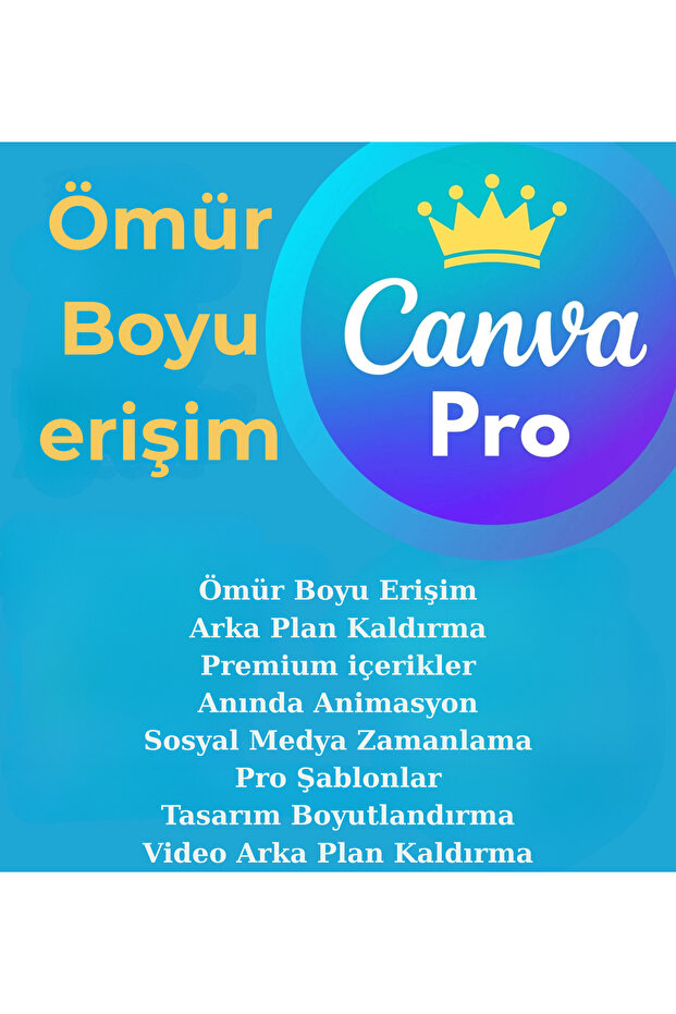 Pro Ömür Boyu Erişim Kişisel Mail'e Davet AI Aktif - 3