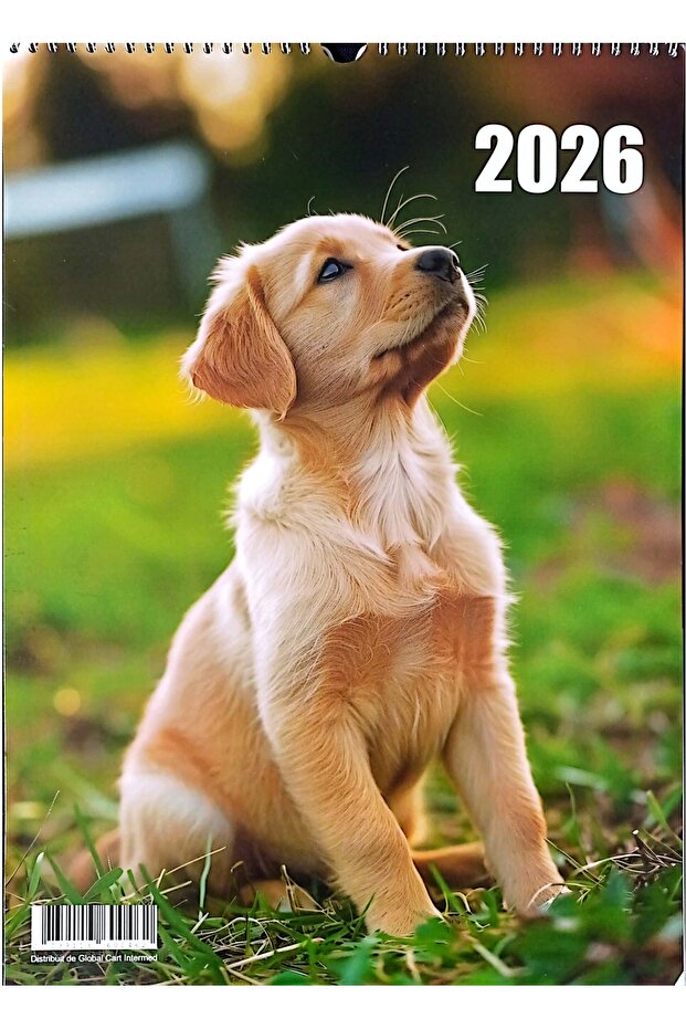 Calendar 2026, A3 Format, Dogs Pattern - 1