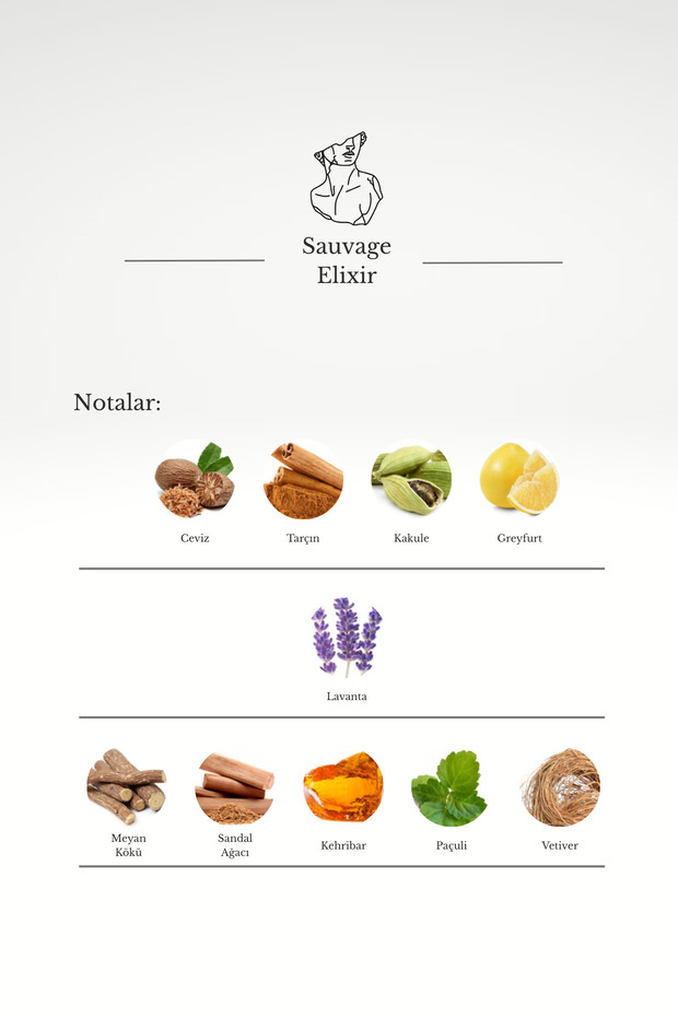 Sauvage Elixir Erkek Extrait de Parfüm 50 ML| Baharatlı, Odunsu| Ceviz, Kakule, Lavanta, Kehribar - 4