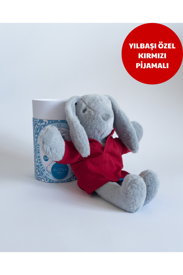 Mona Pışpışlayan Uyku Arkadaşı (Kalın Karton Kutu) - 1