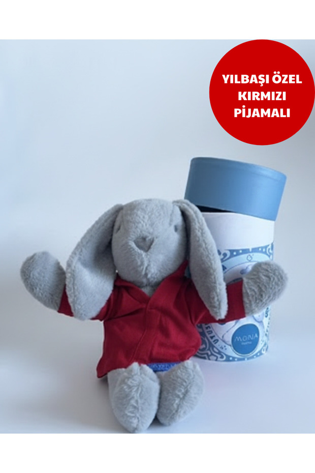 Mona Pışpışlayan Uyku Arkadaşı (Kalın Karton Kutu) - 3