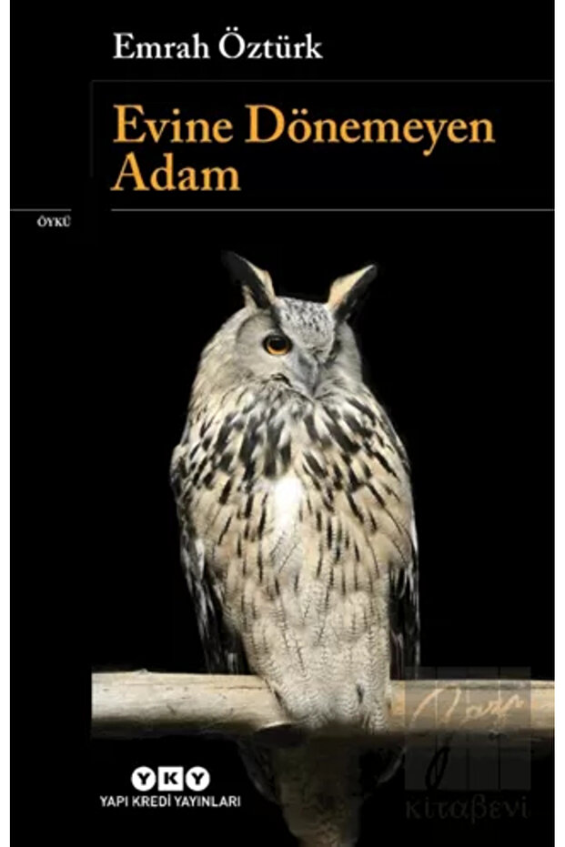Evine Dönemeyen Adam