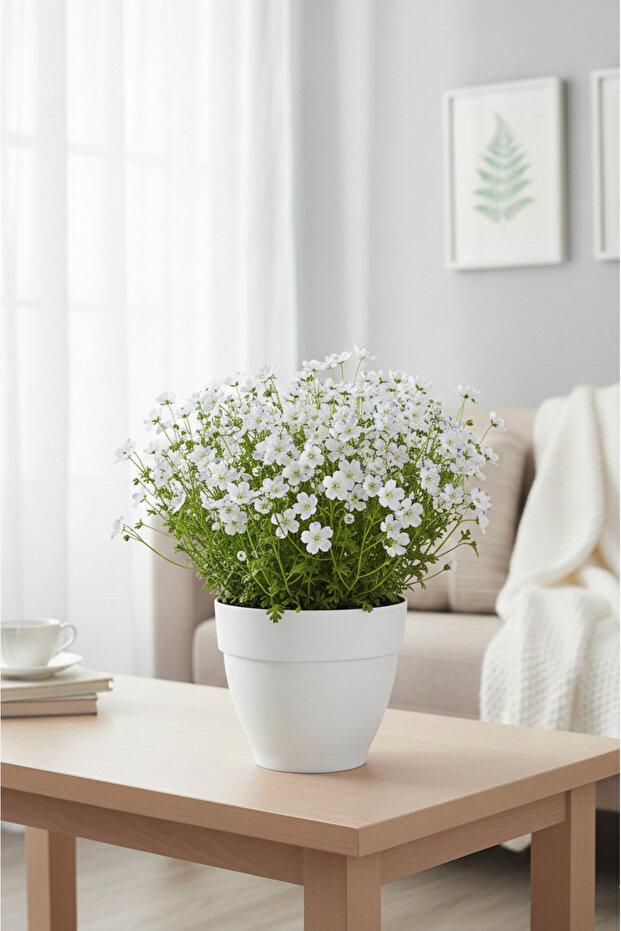 Renkli Saksı 25cm - 1