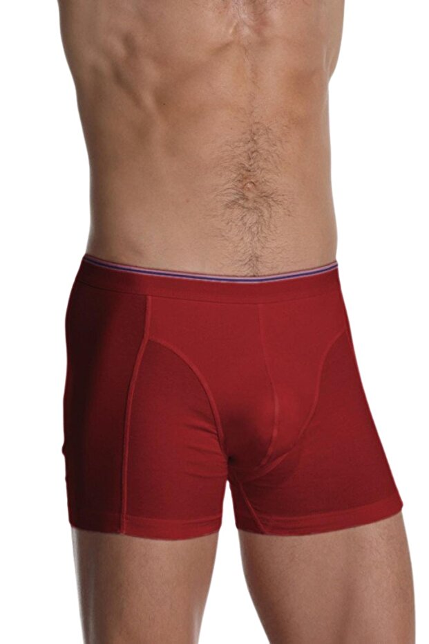 Çift Kaplan 889 Erkek Elastanlı Boxer - 1