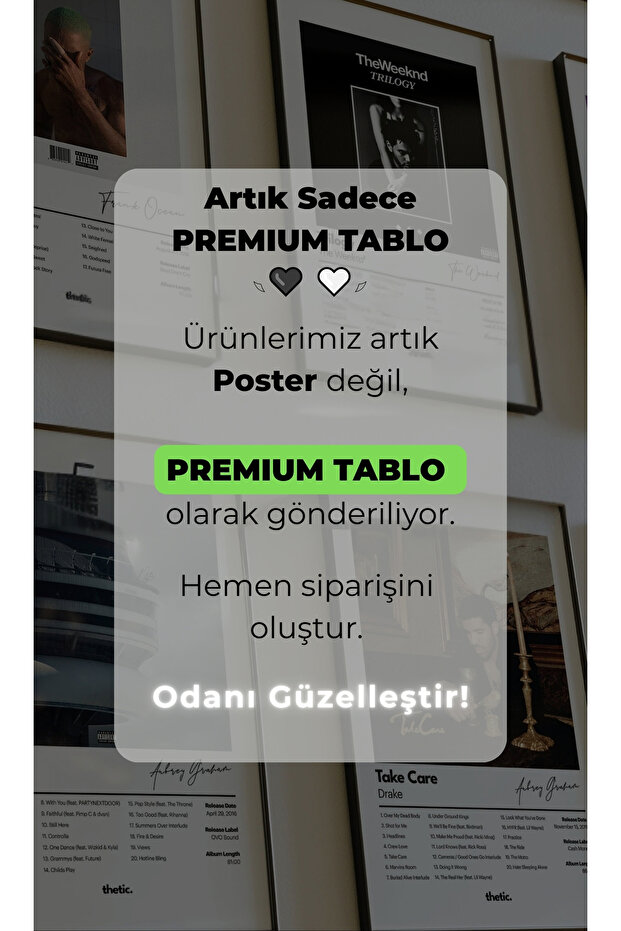 ÖZEL SİNGLE MÜZİK POSTER - 6